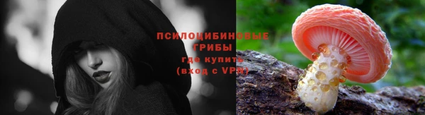 первитин Вяземский