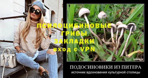 первитин Вяземский