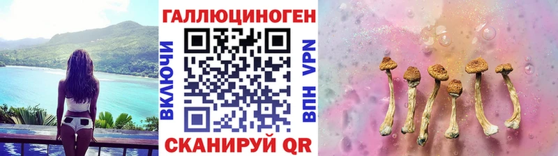 Купить закладки  Соликамск  Галлюциногенные грибы Psilocybe 