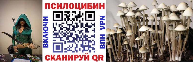 Псилоцибиновые грибы прущие грибы Соликамск